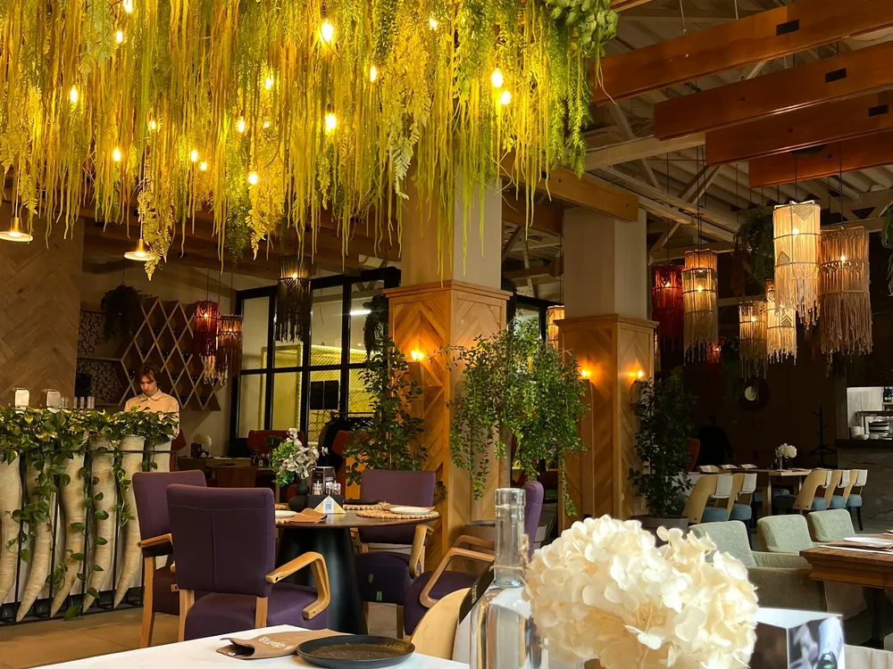 Salle principale plantes suspendues